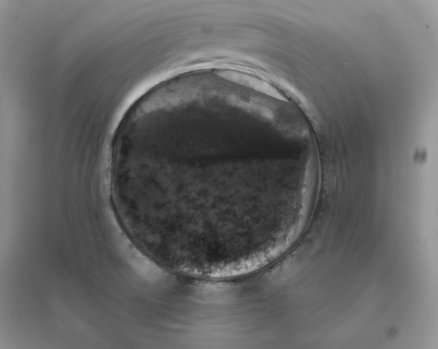 X0000096411522200802071644