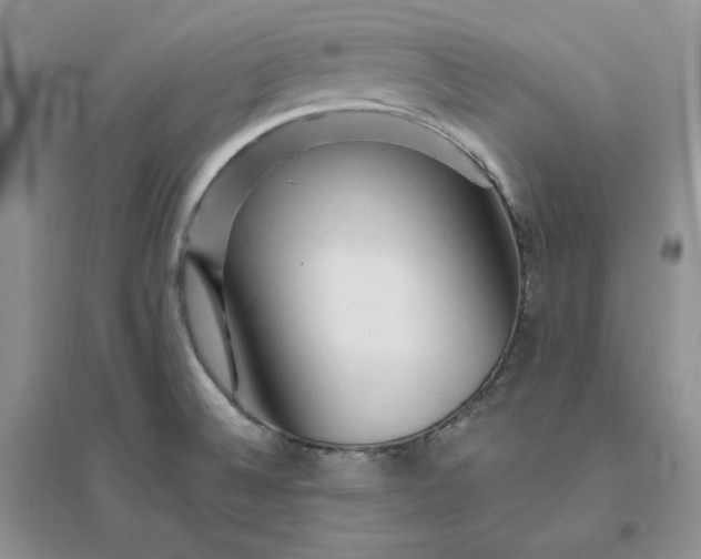 X0000096411524200802071644