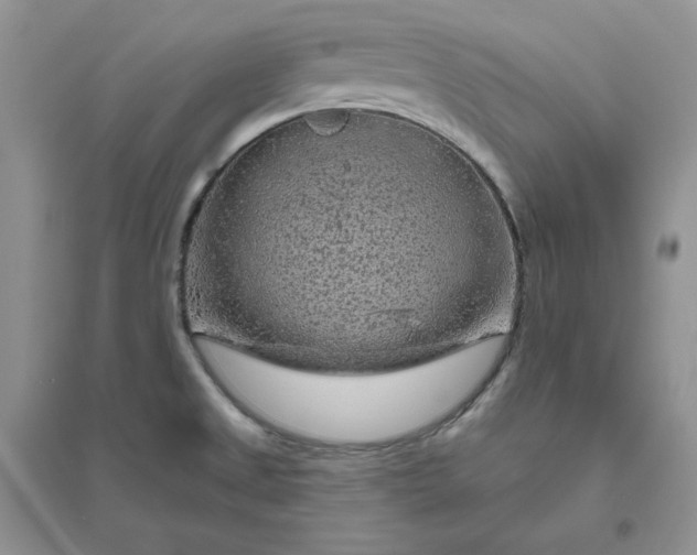 X0000096411525200802071644