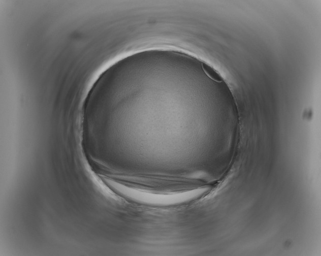 X0000096411526200802071644