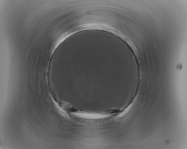 X0000096411529200802071644