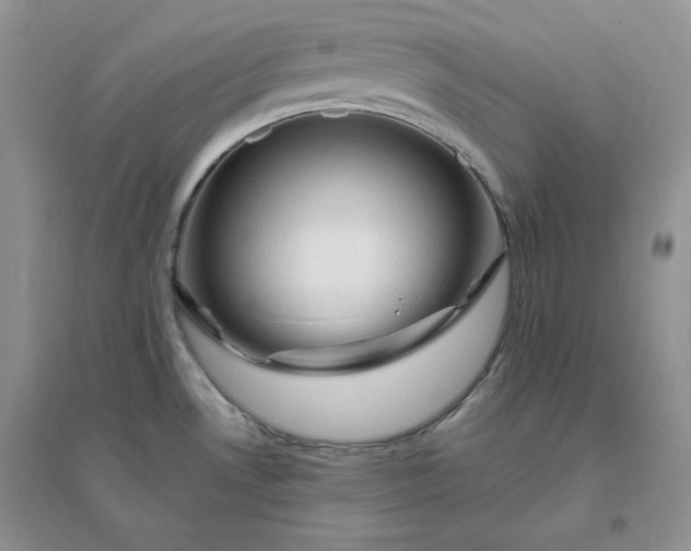 X0000096411530200802071644