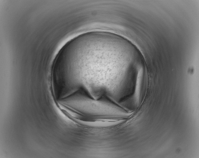 X0000096411531200802071644