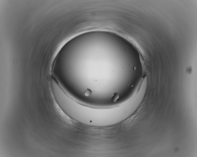 X0000096411532200802071644