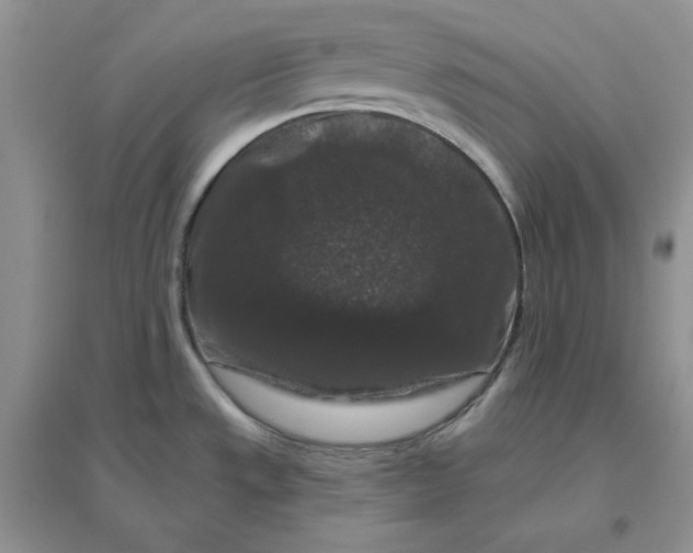 X0000096411533200802071644