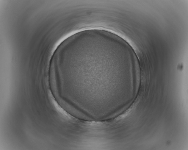 X0000096411534200802071644