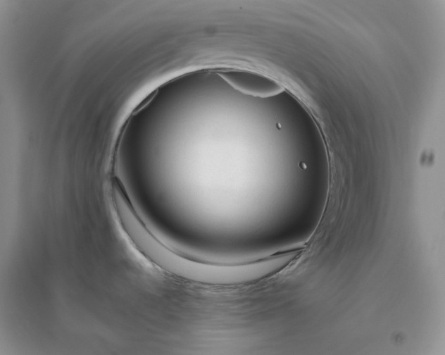 X0000096411536200802071644