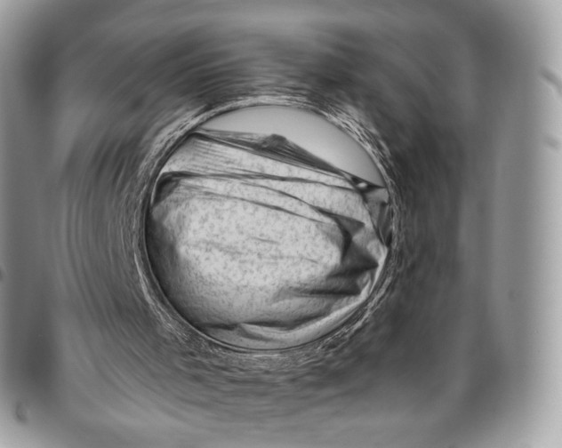 X0000096410001200802141551