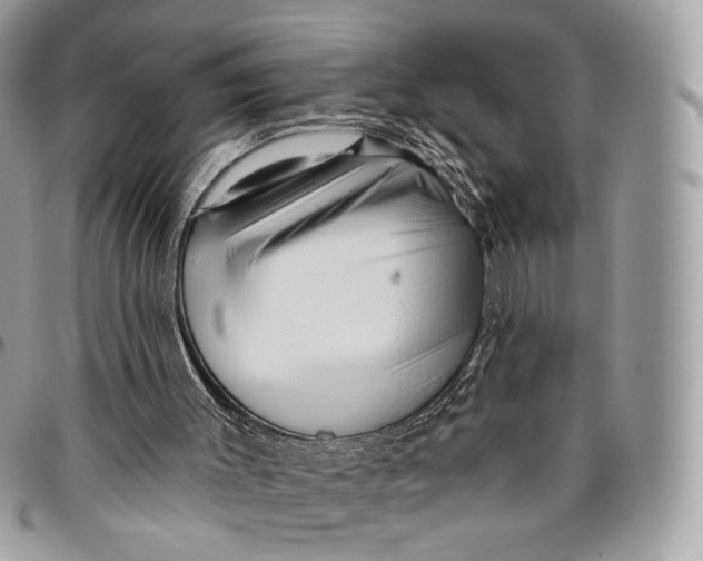 X0000096410003200802141551