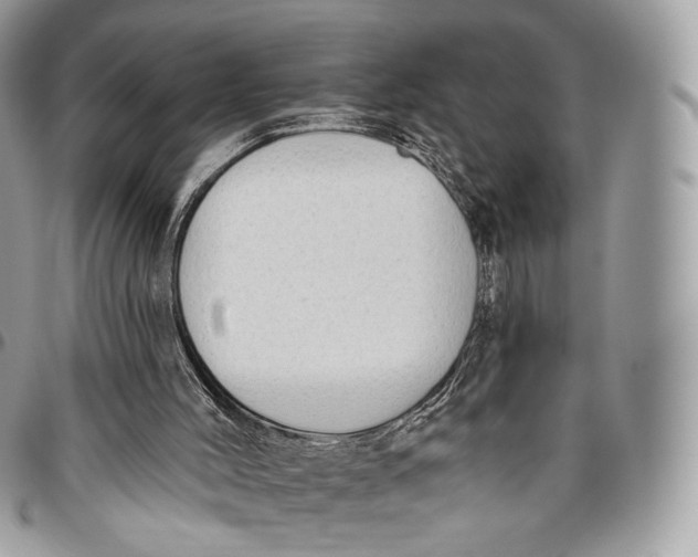 X0000096410004200802141551