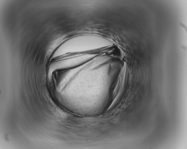 X0000096410005200802141551