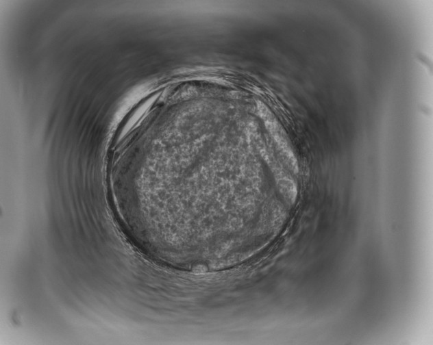 X0000096410006200802141551