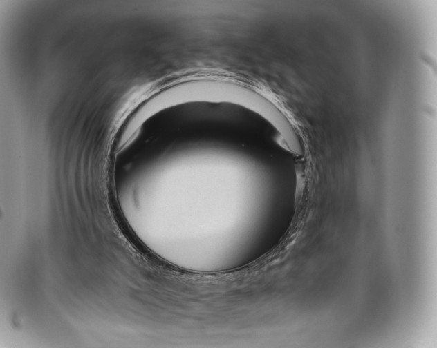 X0000096410007200802141551