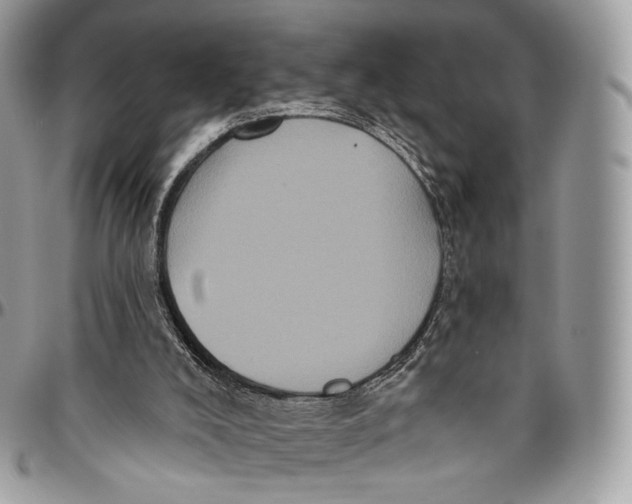 X0000096410008200802141551