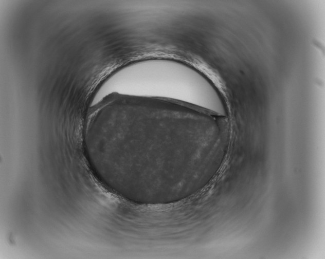 X0000096410009200802141551