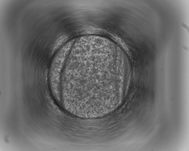 X0000096410010200802141551