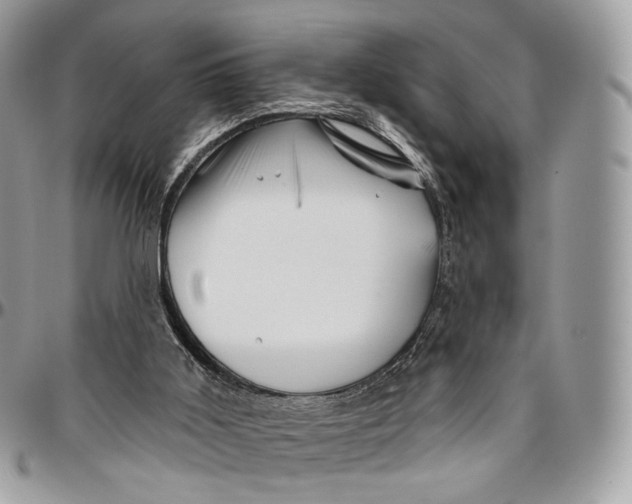 X0000096410011200802141551