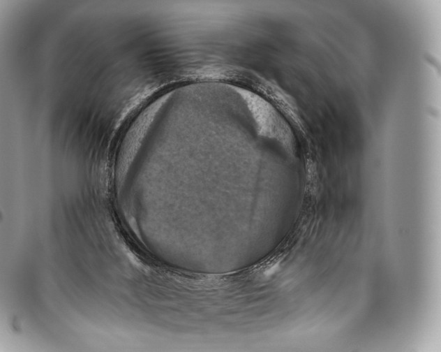 X0000096410012200802141551