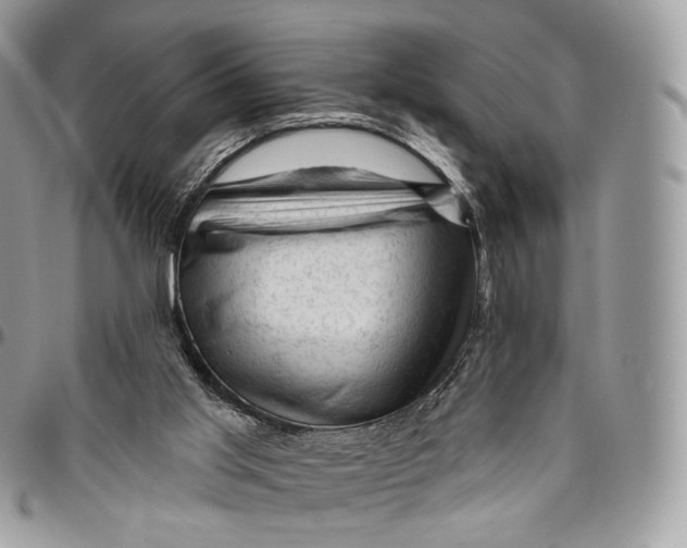 X0000096410013200802141551