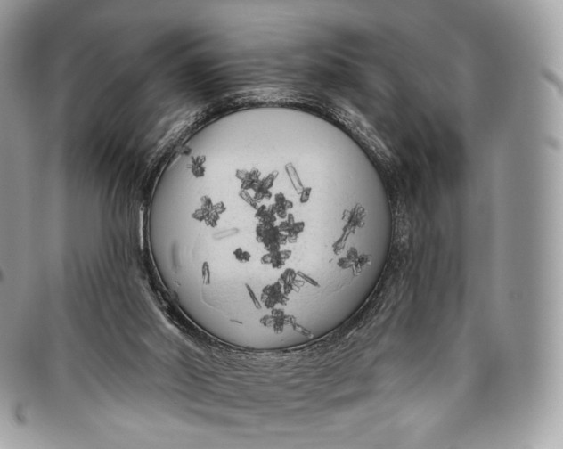 X0000096410014200802141551