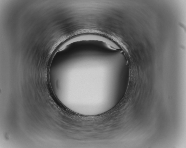 X0000096410015200802141551