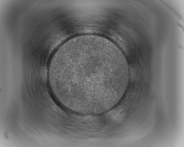 X0000096410016200802141551