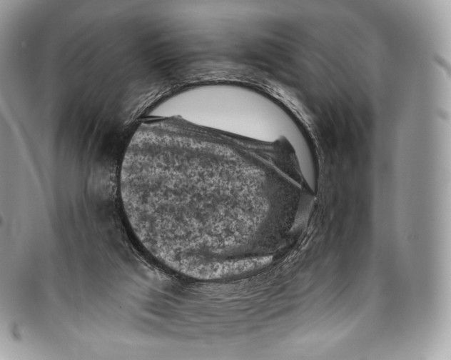 X0000096410017200802141551