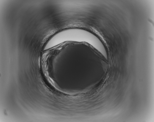 X0000096410019200802141551