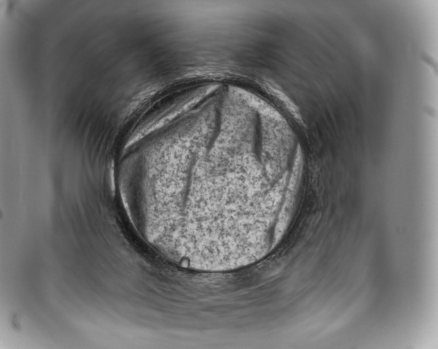 X0000096410020200802141551