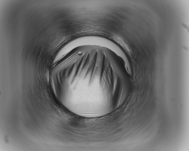 X0000096410021200802141551