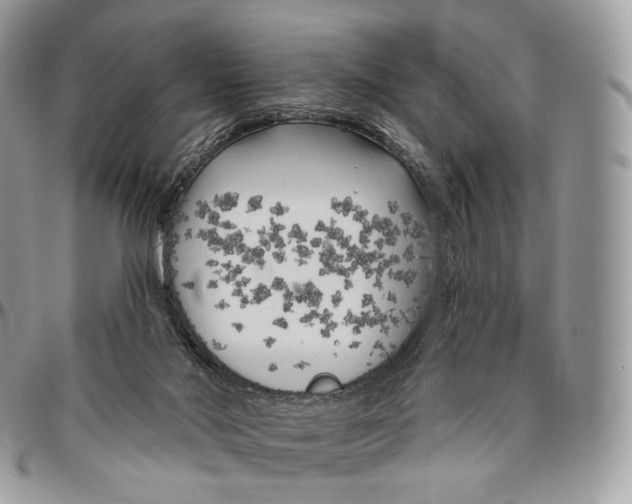 X0000096410022200802141551