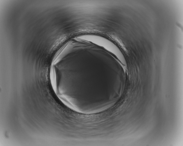 X0000096410023200802141551