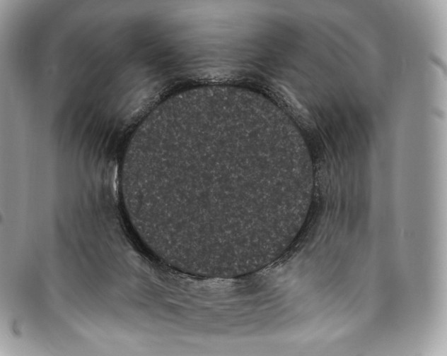 X0000096410024200802141551