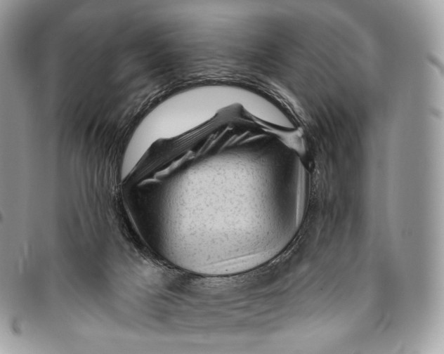 X0000096410025200802141551