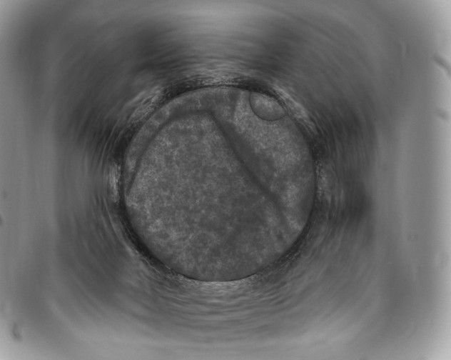 X0000096410026200802141551