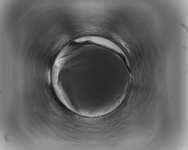 X0000096410027200802141551