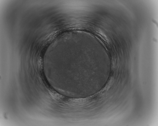 X0000096410029200802141551