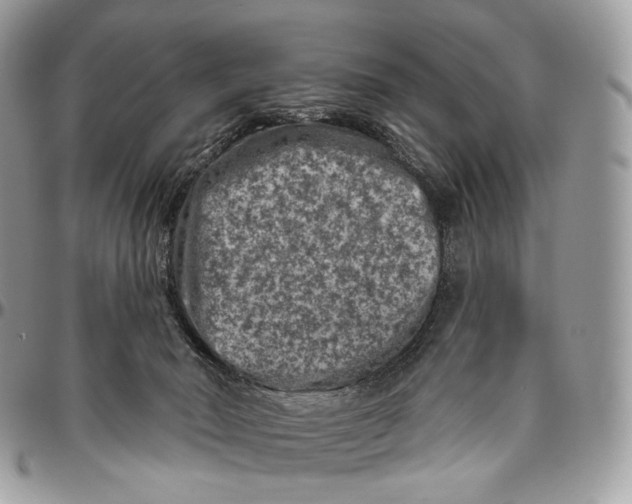 X0000096410030200802141551