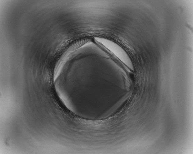 X0000096410031200802141551