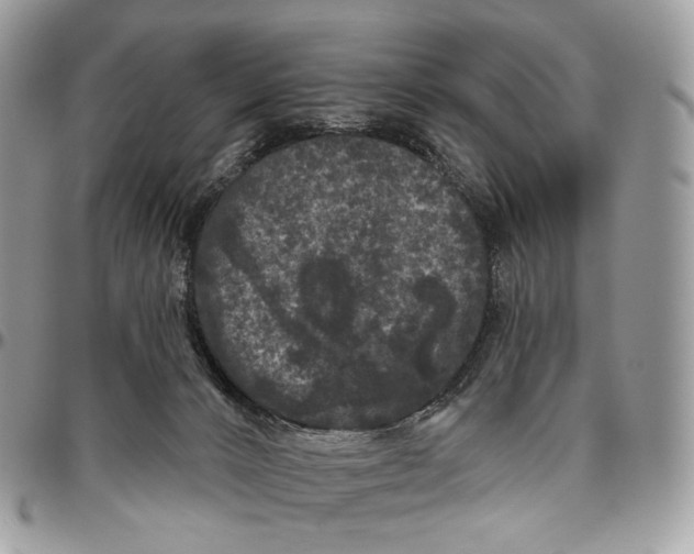 X0000096410032200802141551