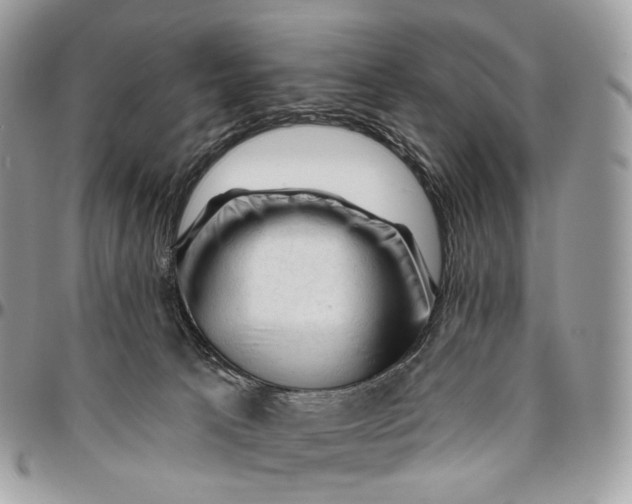 X0000096410033200802141551