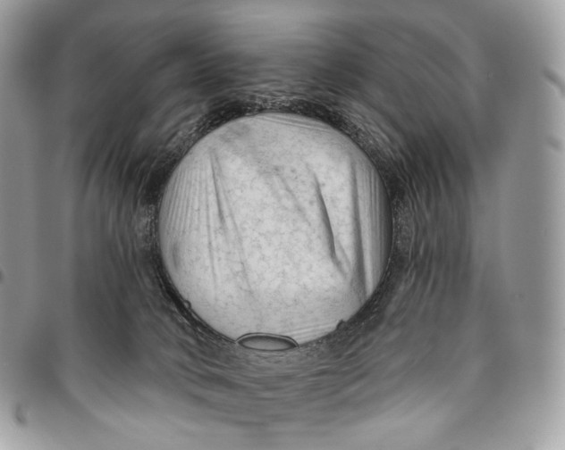 X0000096410034200802141551