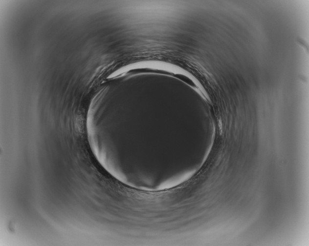 X0000096410035200802141551