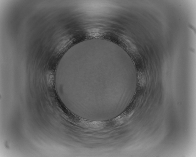 X0000096410036200802141550