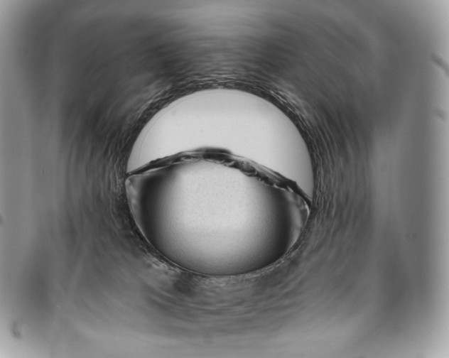 X0000096410037200802141550