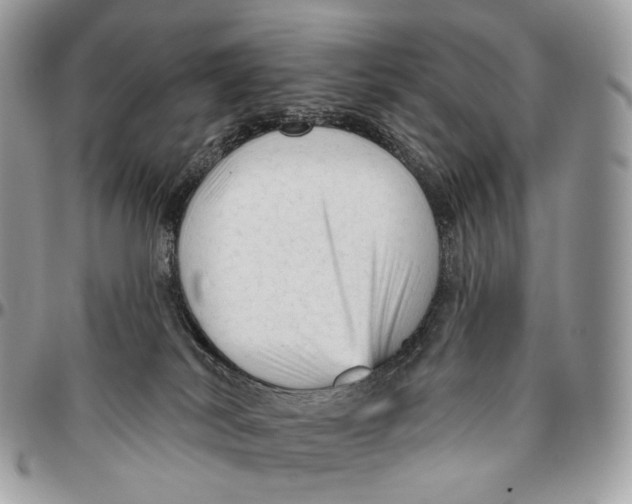 X0000096410038200802141550