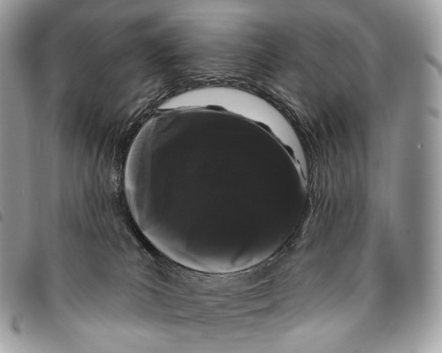 X0000096410039200802141550