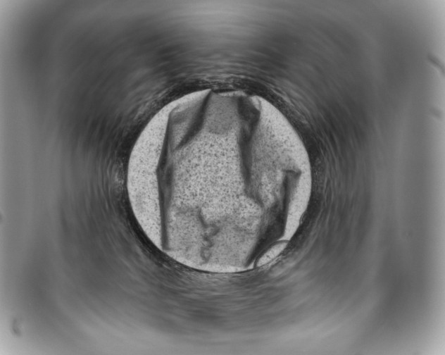 X0000096410040200802141550