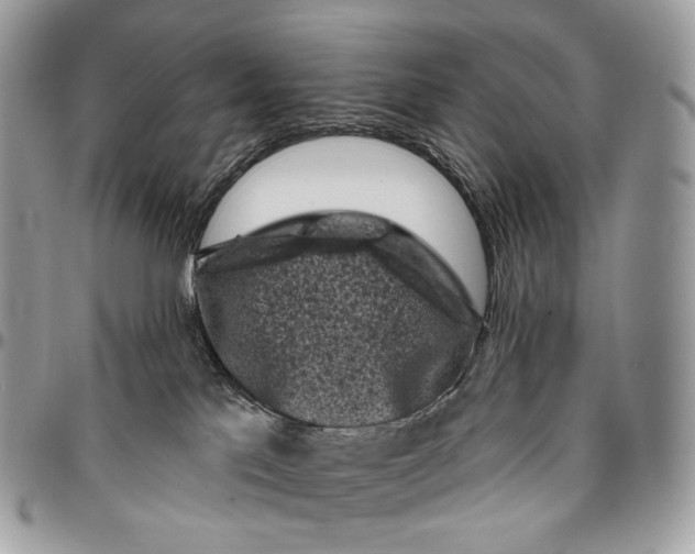 X0000096410041200802141550