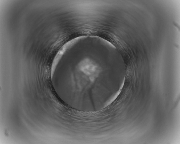 X0000096410043200802141550